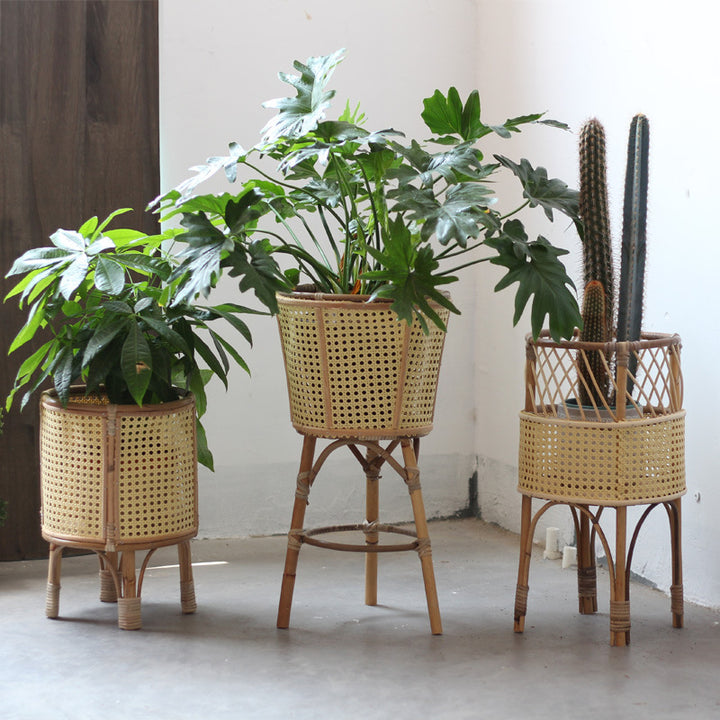 Stylish plant stand made of rattan Bowlift