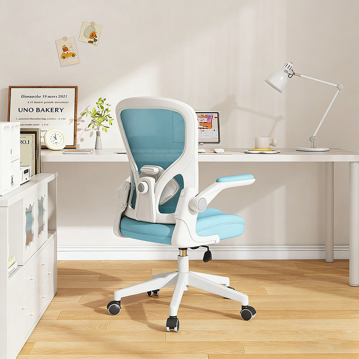 Ergonomic Office Chair Bowlift