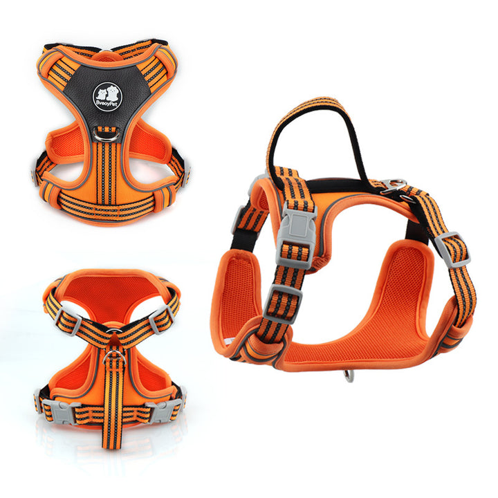 Padded Pet Harness