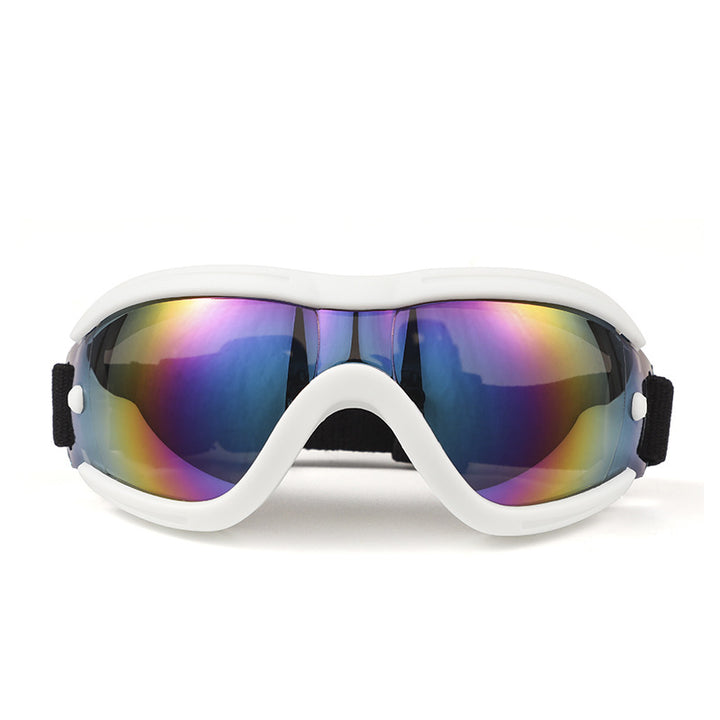 Pet Impact-Resistant Anti-Fog Motorcycle and Ski Protective Goggles Bowlift