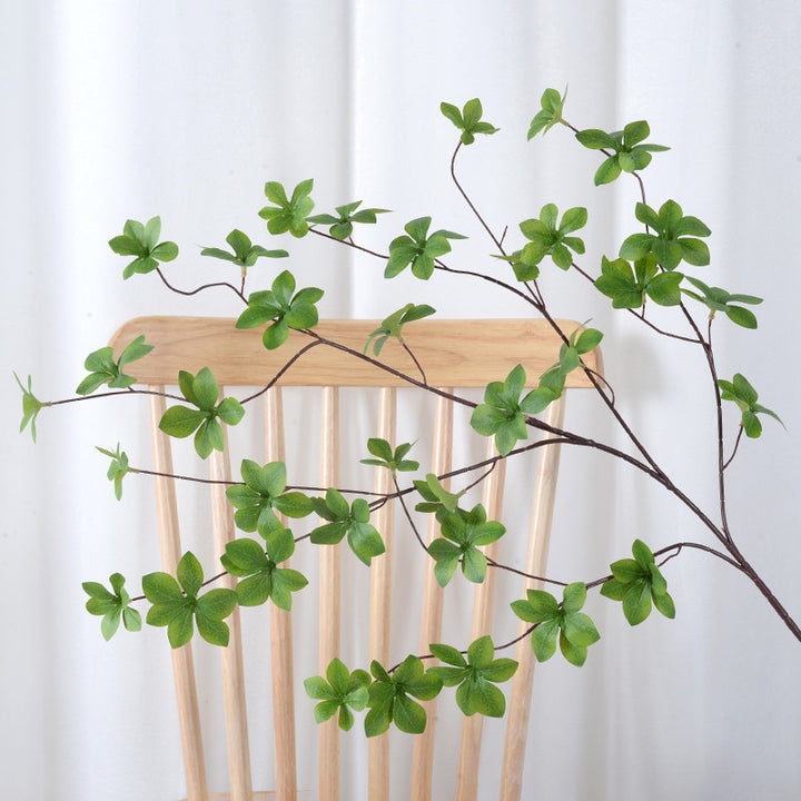 Decorative Green Plant