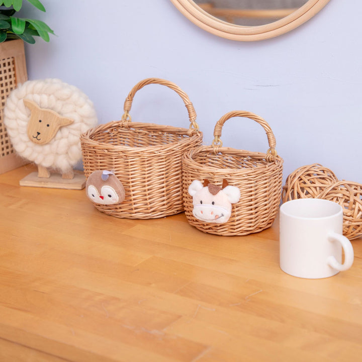 Decorative Handwoven Wall Basket Bowlift