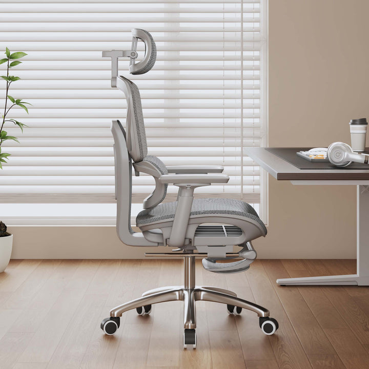 Adjustable Lumbar Support Office Chair Bowlift
