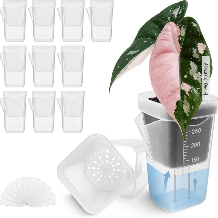 Self-Watering Seed Starter Pot System Bowlift