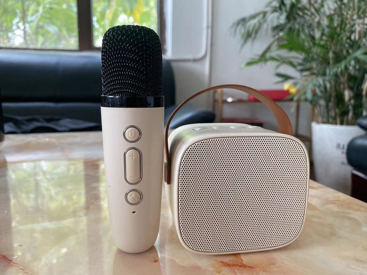 Portable Bluetooth Speaker with Wireless Microphone Bowlift