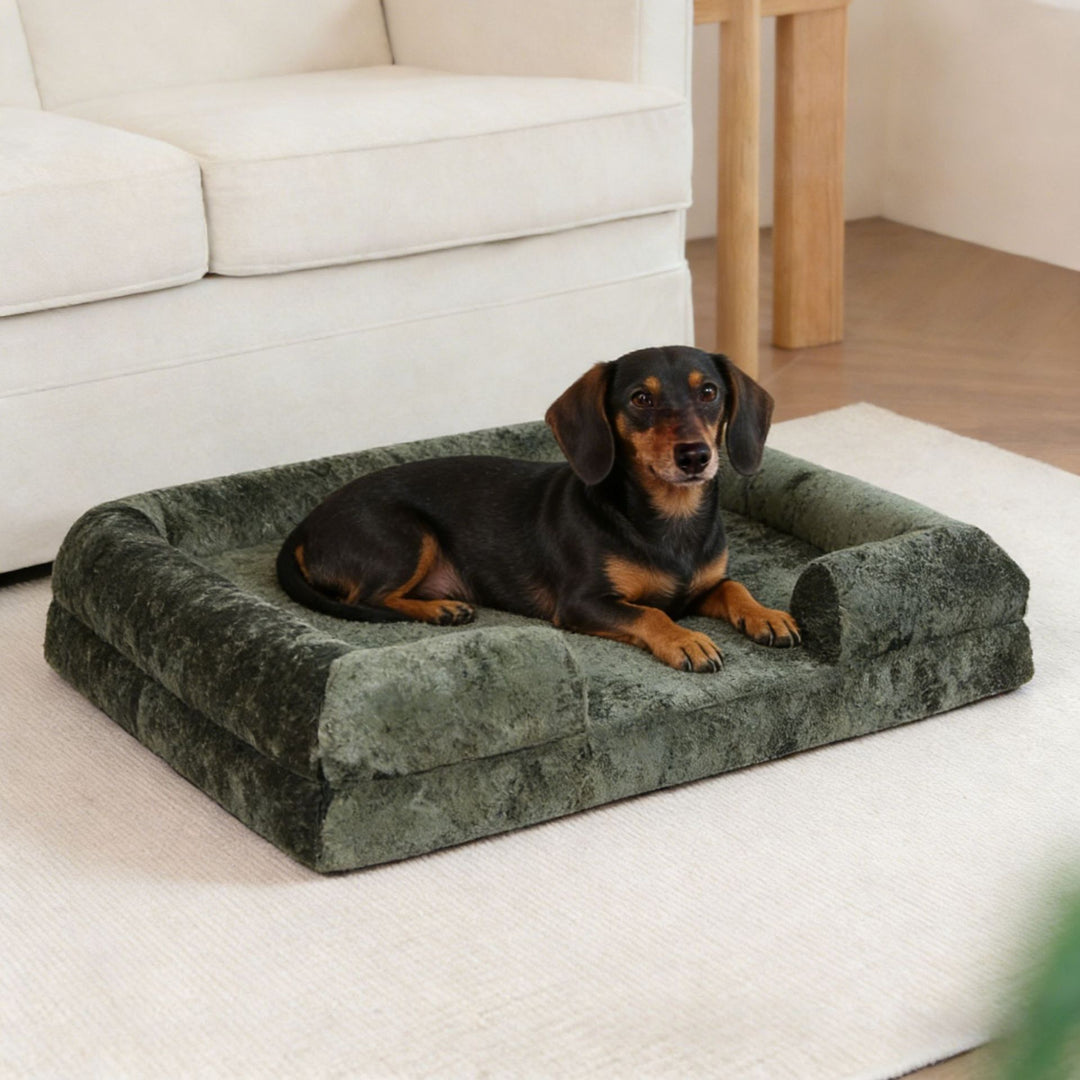 Luxurious Supportive dog Couch