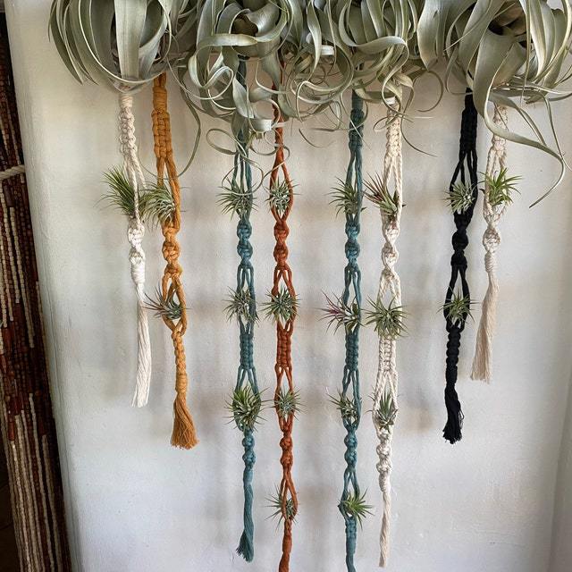 Elegant Macrame Plant Wall Hanging Bowlift