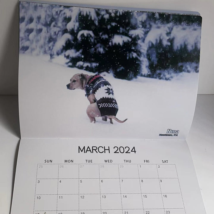 Funniest Calendar-Dogs Pooping in Beautiful Places | "Artistic Expression" of Furry Friends | Bowlift