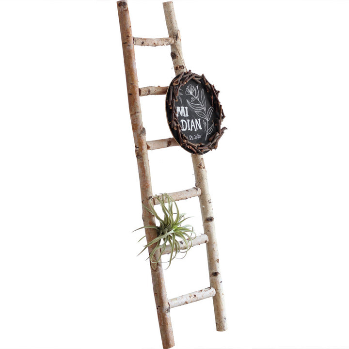 Decorative wooden ladder Bowlift