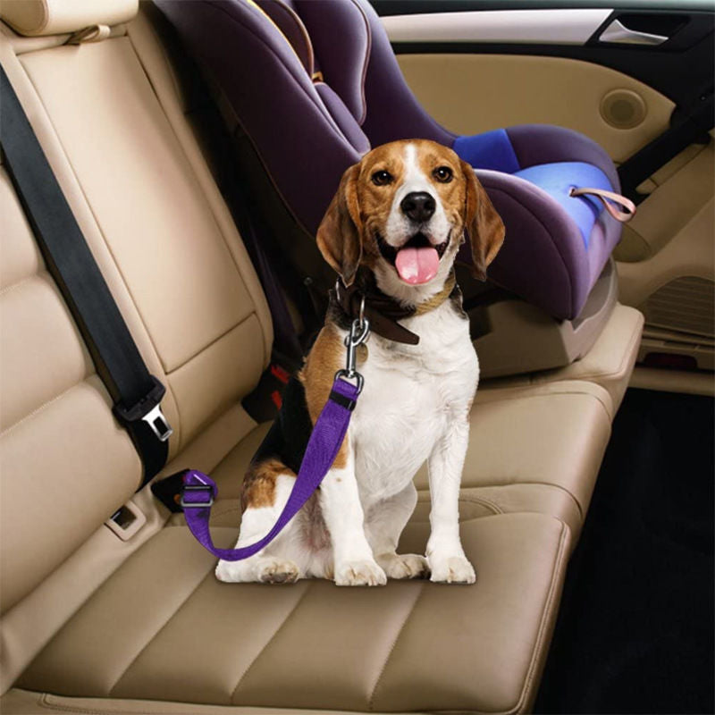 Adjustable Vehicle Dog Seatbelt Tether with Swivel Clip Bowlift