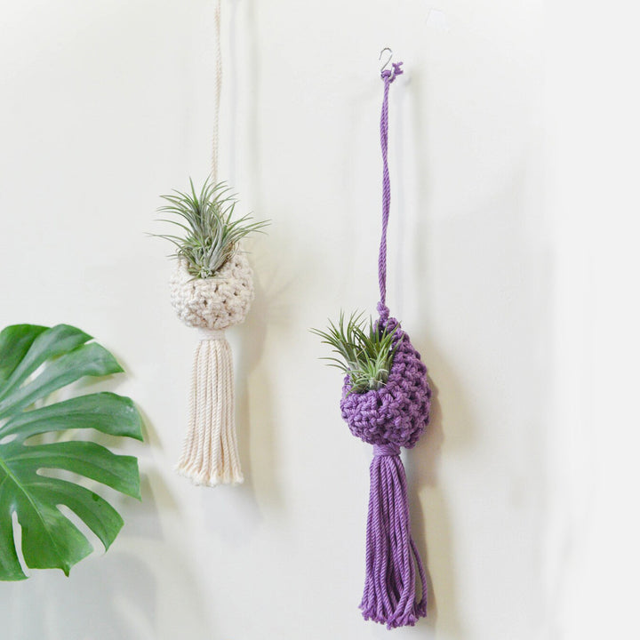 Macrame Hanging Plant Holder with Decorative Tassel Bowlift