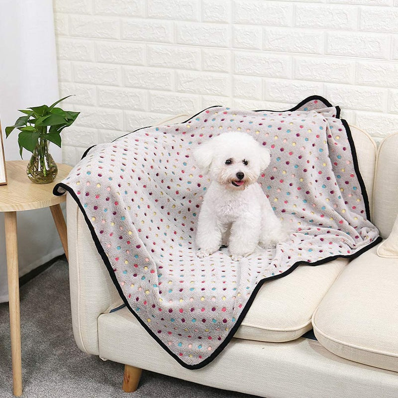 Ladies Cozy Microfiber Blanket with Playful Pattern Bowlift
