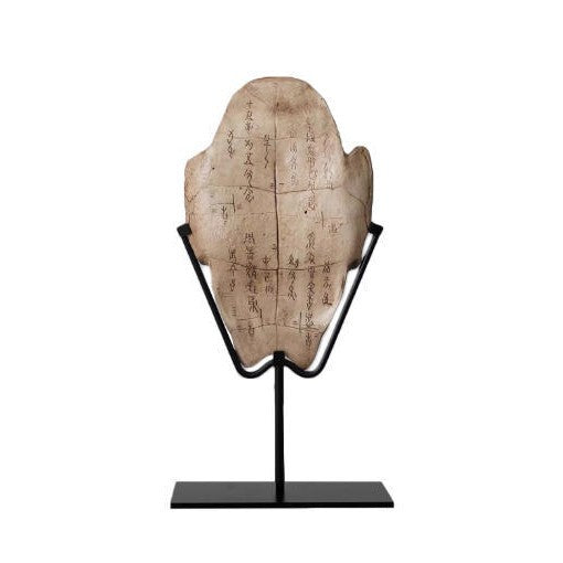 Decorative Natural History Rib Sculpture