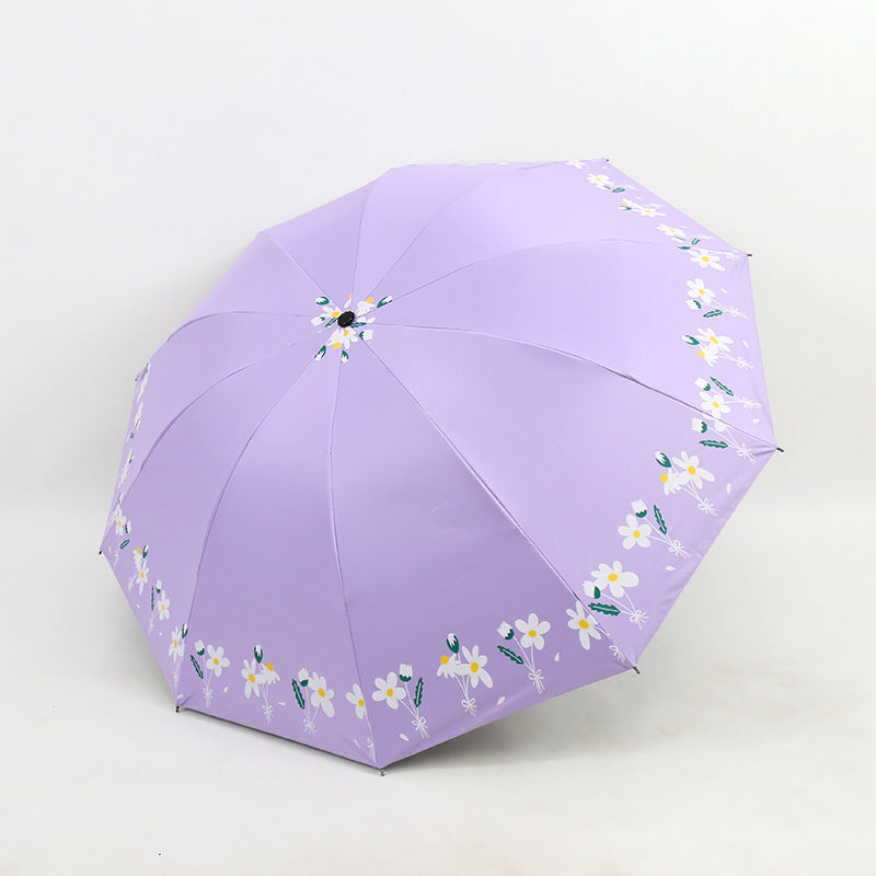 Ladies Umbrella Bowlift