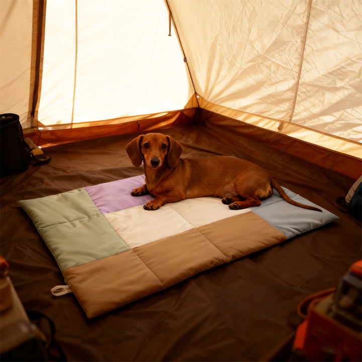 Premium Quilted dog Sleeping Mat