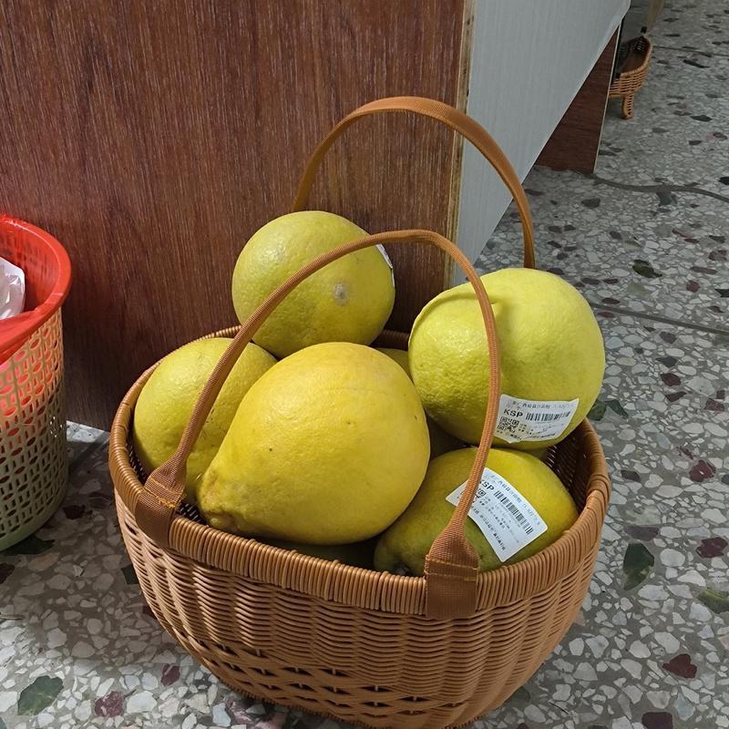 Stylish Woven Storage Basket with Comfortable Handles Bowlift