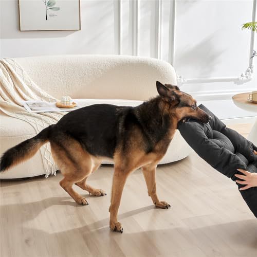 Dog Bed Bowlift