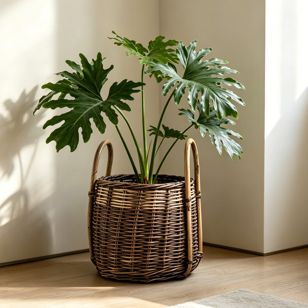 Handcrafted storage basket with natural fiber Bowlift