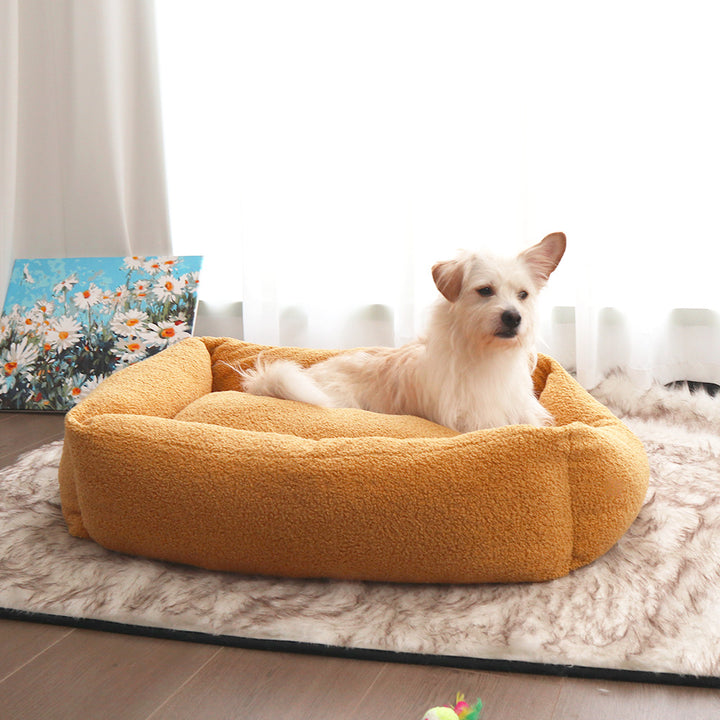 Cozy Bolstered dog Lounge