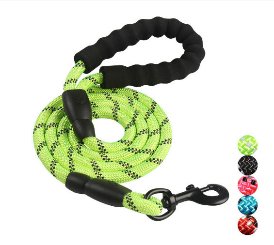 Dog Leash