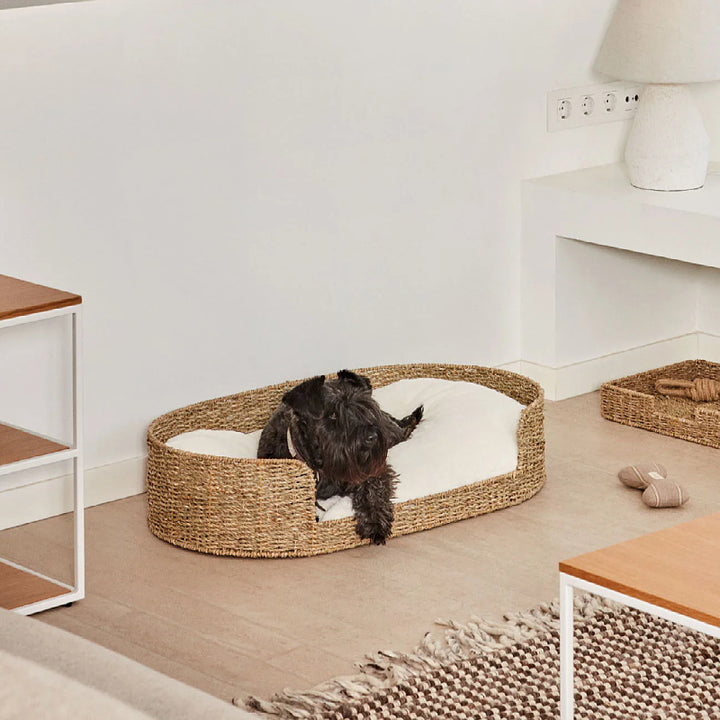 Cozy and stylish dog bed made of braided material Bowlift
