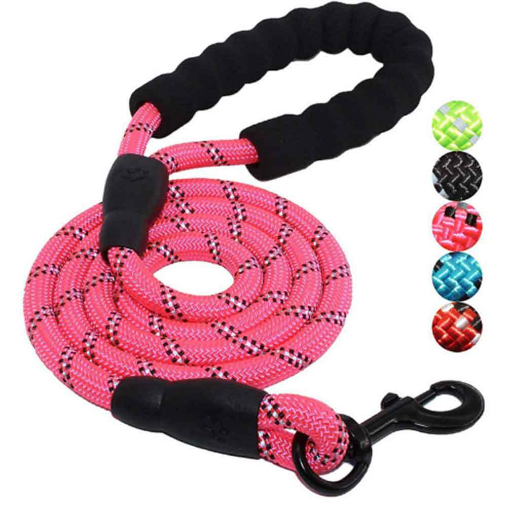 Dog Leash