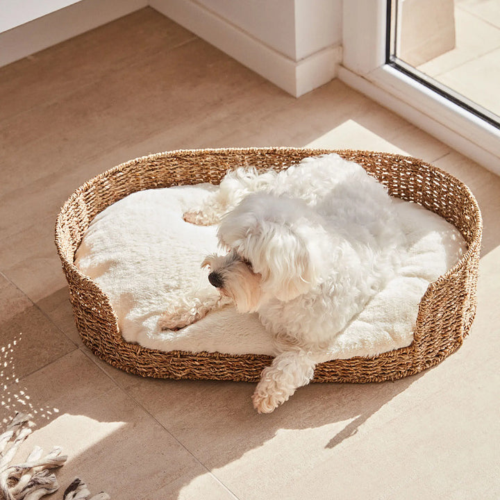 Cozy and stylish dog bed made of braided material Bowlift