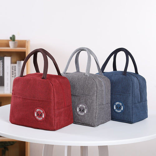Stylish Insulated Lunch Carry Bag