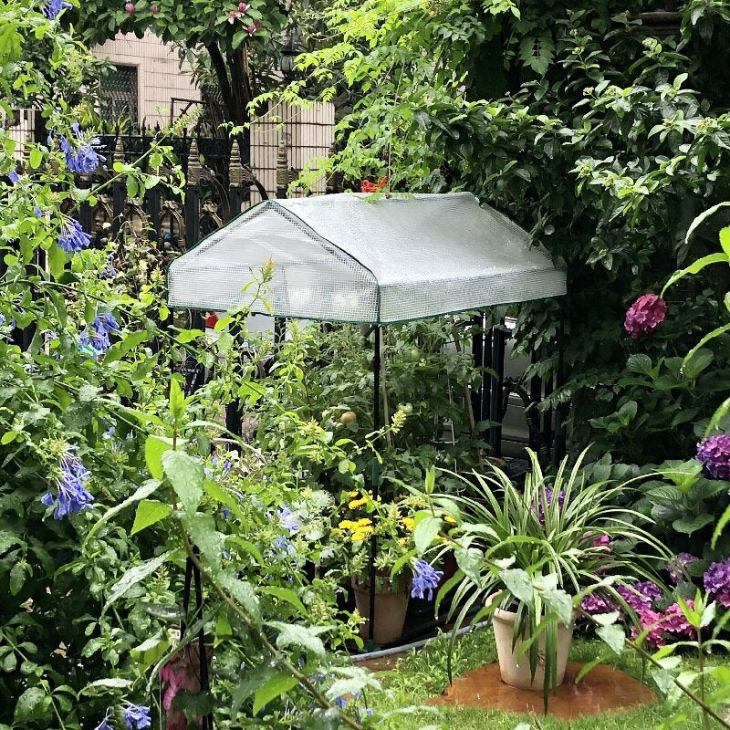 Garden Greenhouse