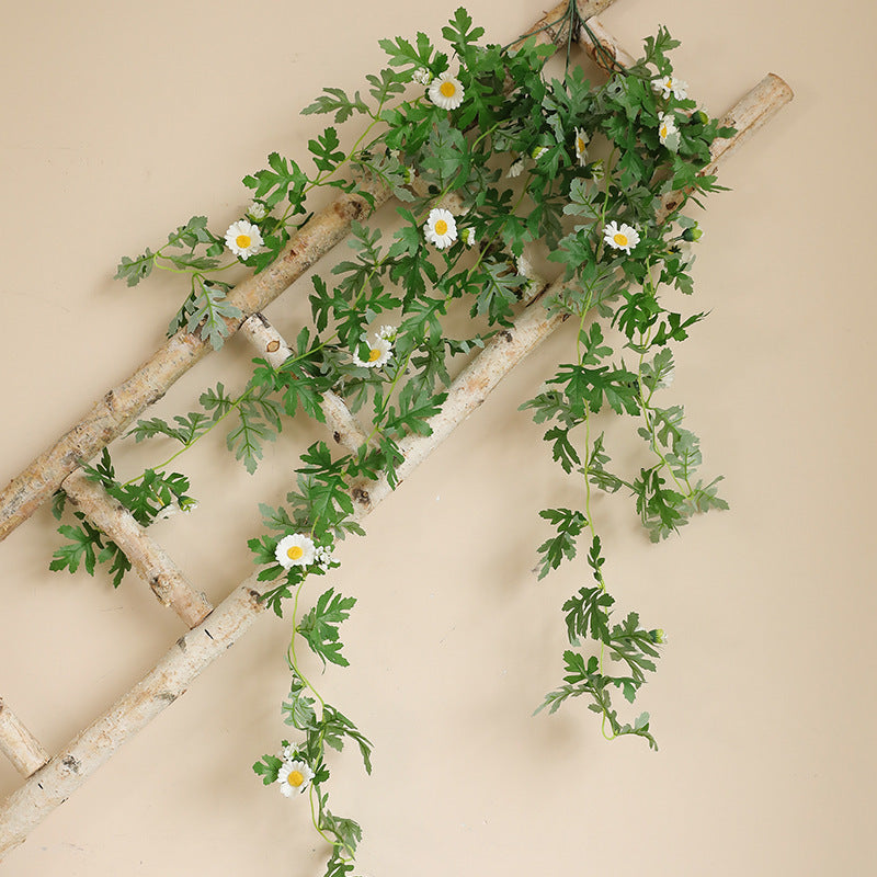 Hanging Decorative Plant Bowlift