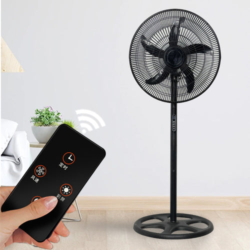 Ladies Stand Fan Bowlift
