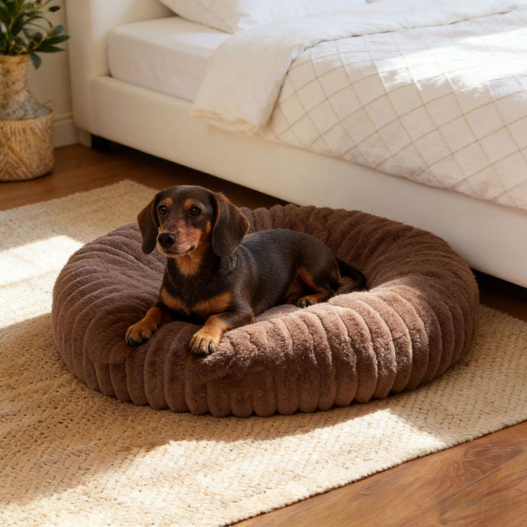 Plush Round Cat Bed