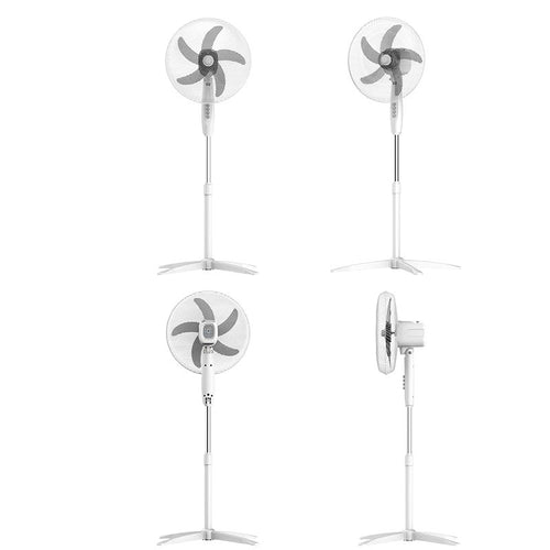 Adjustable Height Oscillating Stand Fan Bowlift