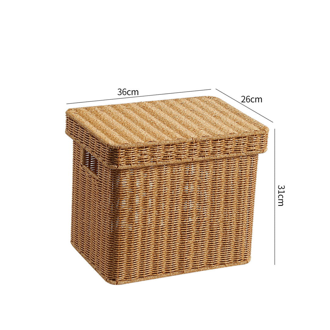 Handwoven Decorative Storage Chest Bowlift