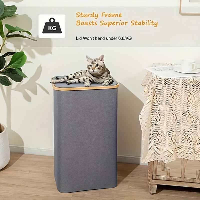 Versatile laundry container with lid and carrying handle Bowlift