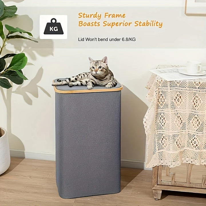 Versatile laundry container with lid and carrying handle Bowlift