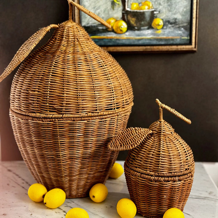 Playful fruit basket with lid Bowlift