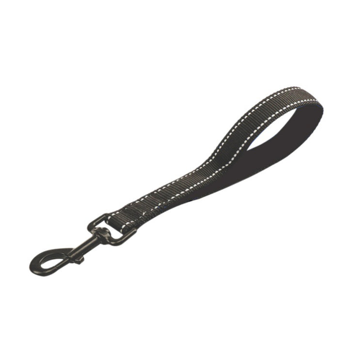 Durable Nylon Dog Leash