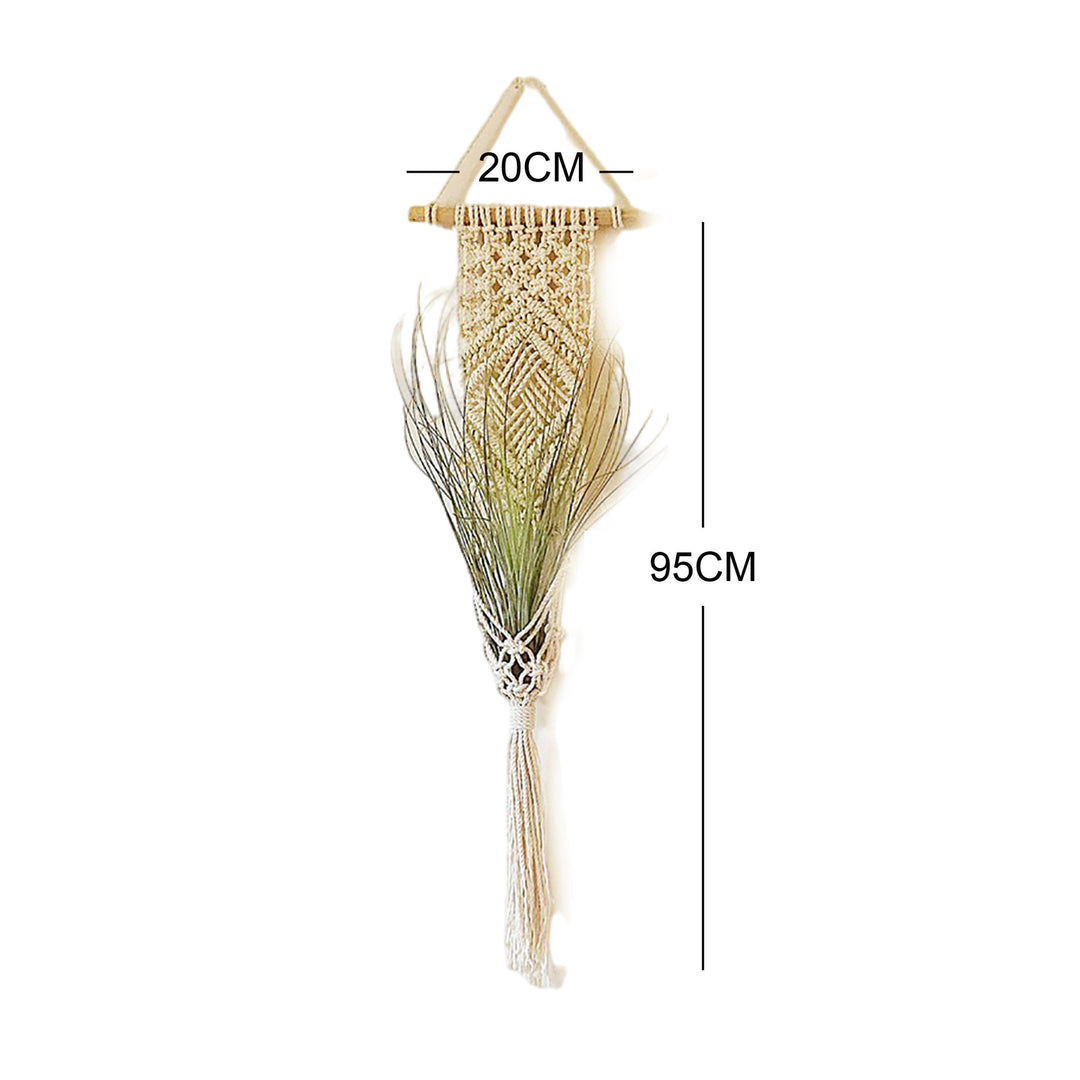 Macrame Wall Hanging Plant Holder Bowlift