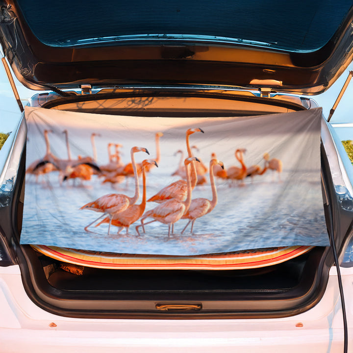 Luggage protection cover with maritime shell design Bowlift
