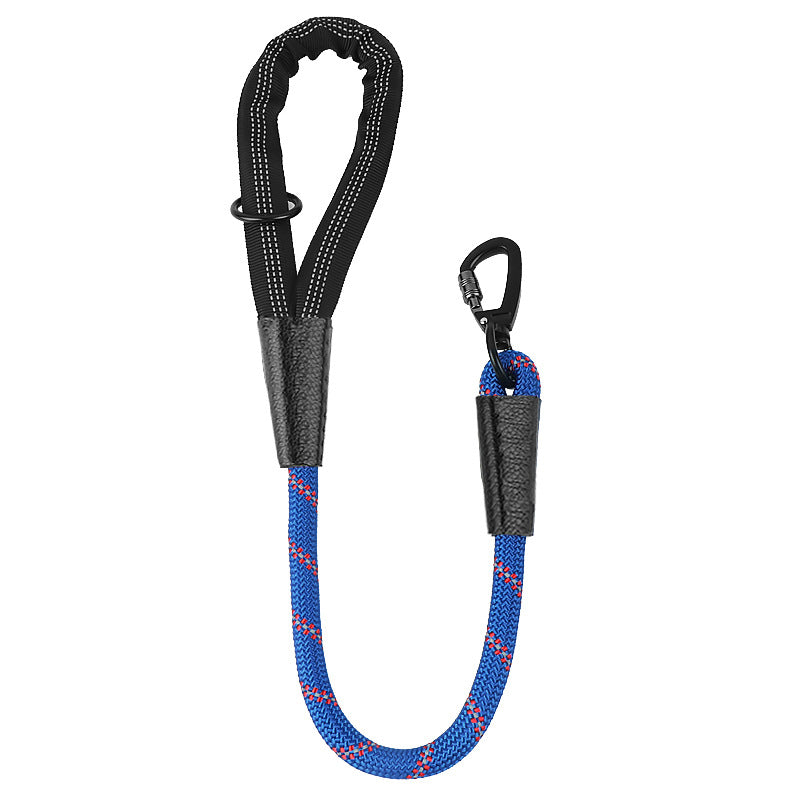 Dog Leash