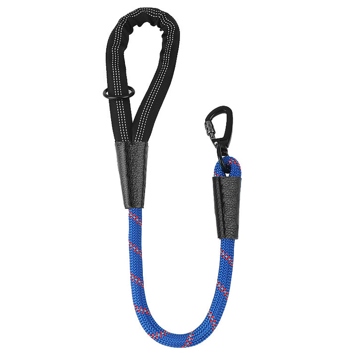 Dog Leash