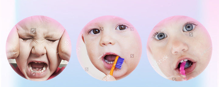Electric Toothbrush Bowlift