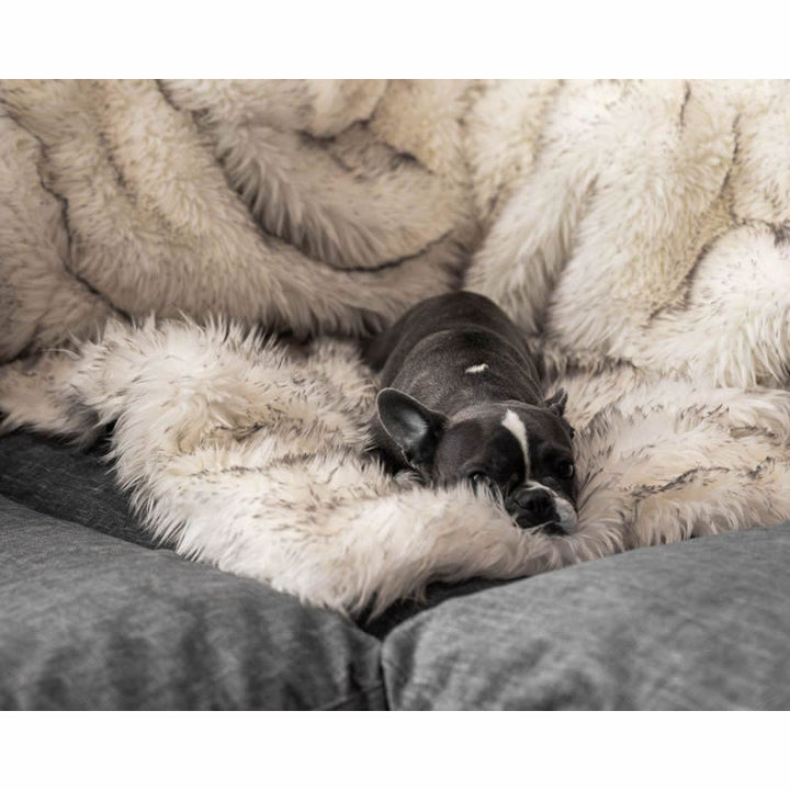 Unisex Snuggle Blanket Bowlift