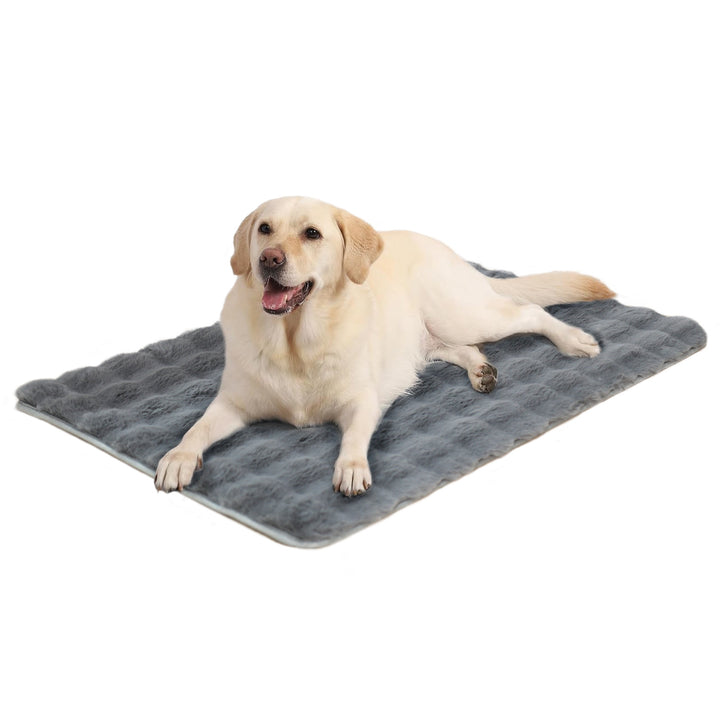 Unisex Cozy Dog Pillow Bowlift