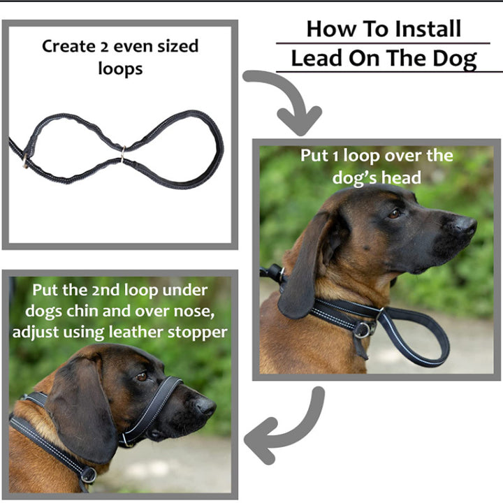 Pet Leash