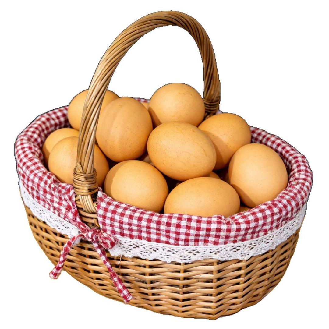 Women's braided basket with decorative fabric cover and practical carrying handles Bowlift