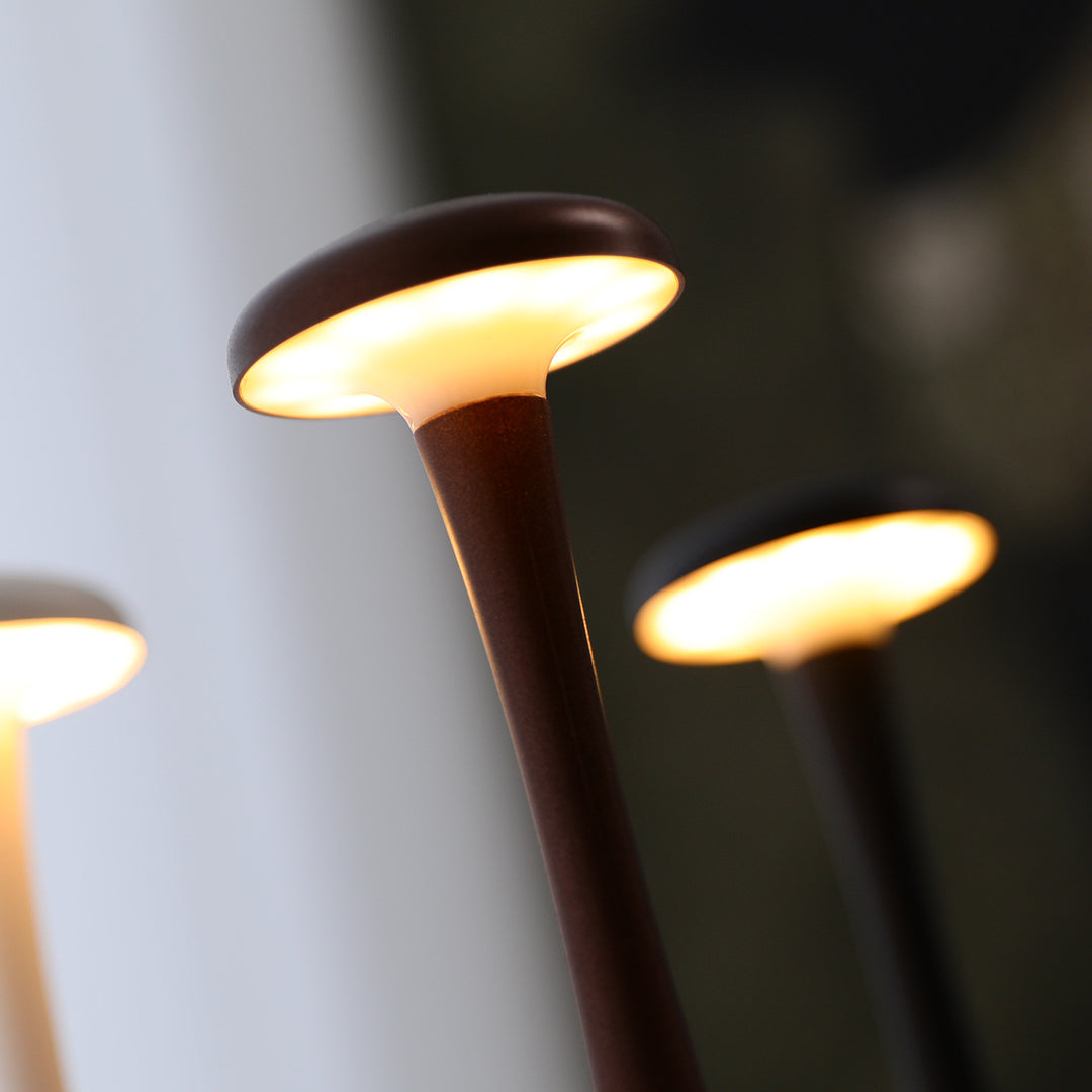 Compact rechargeable touch LED ambient desk lamp with flexible stem Bowlift