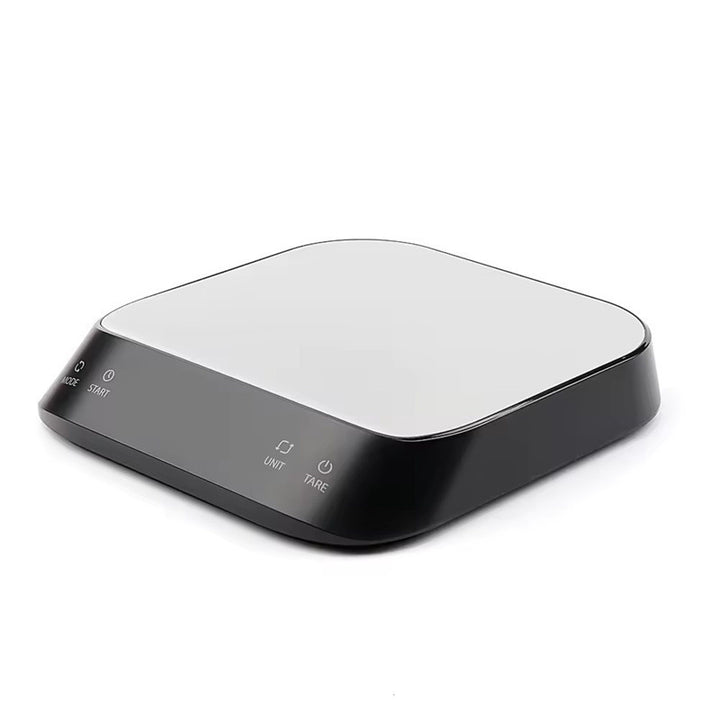 Precision Digital Scale