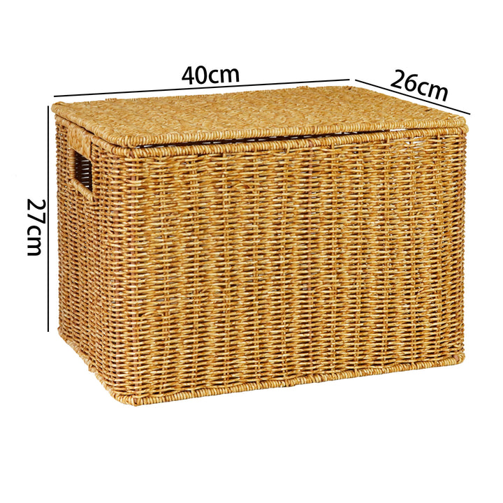 Ladies Generous Storage Basket with Lid Bowlift